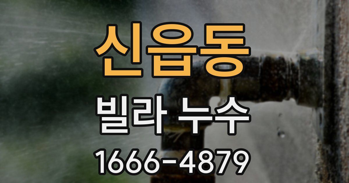 신읍동 빌라 누수