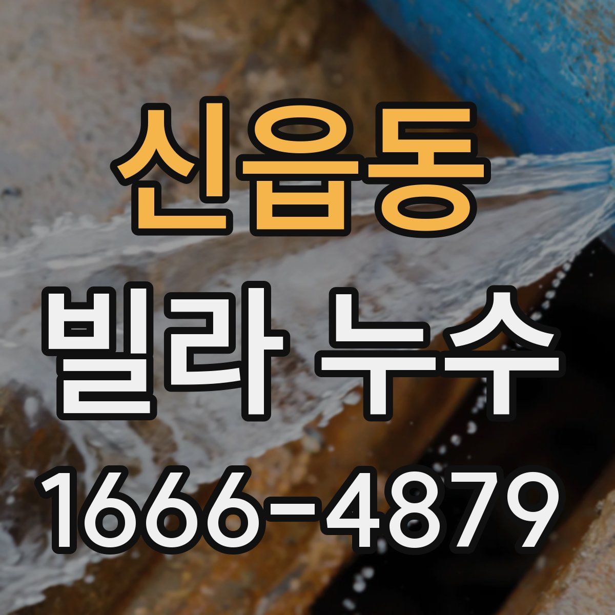 신읍동 빌라 누수