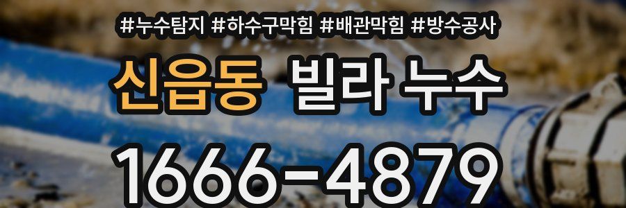 신읍동 빌라 누수