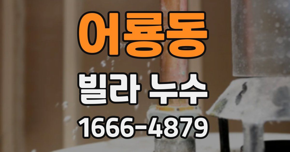 어룡동 빌라 누수