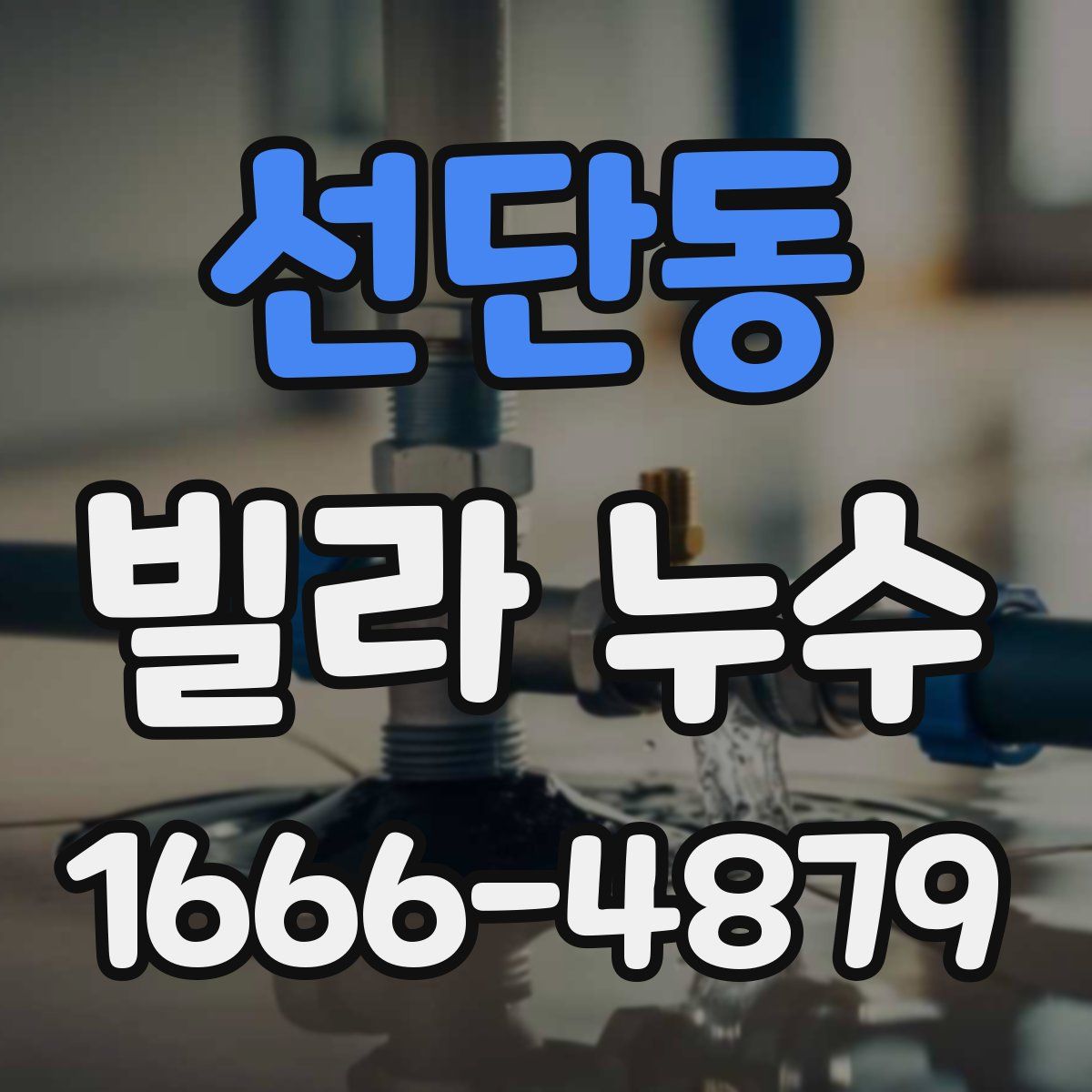 선단동 빌라 누수