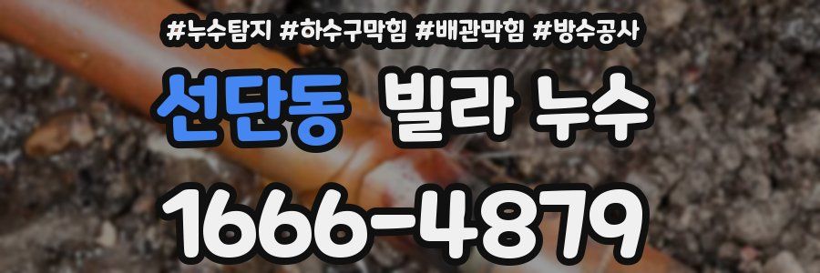 선단동 빌라 누수