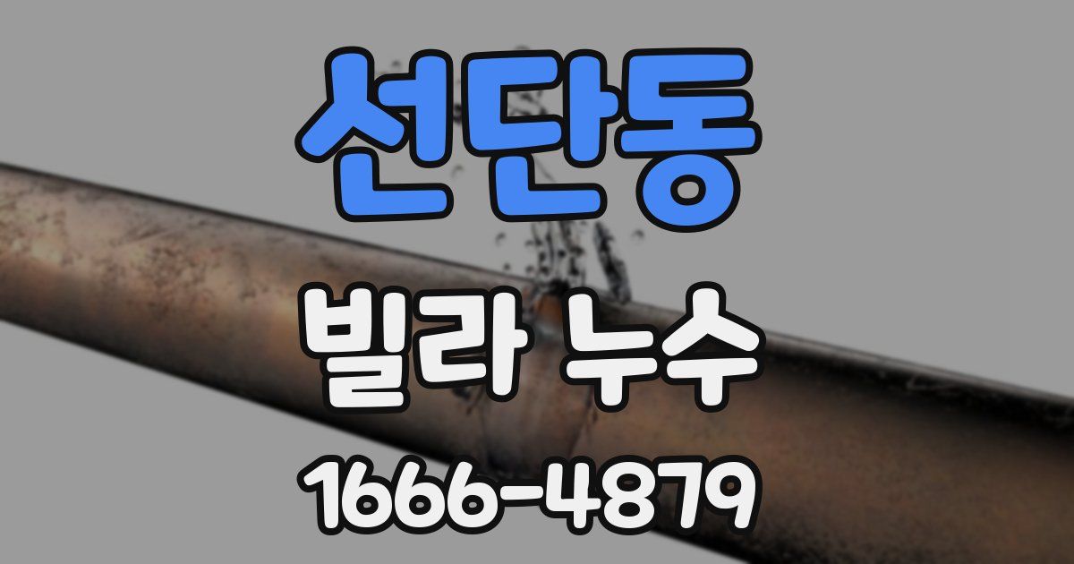 선단동 빌라 누수