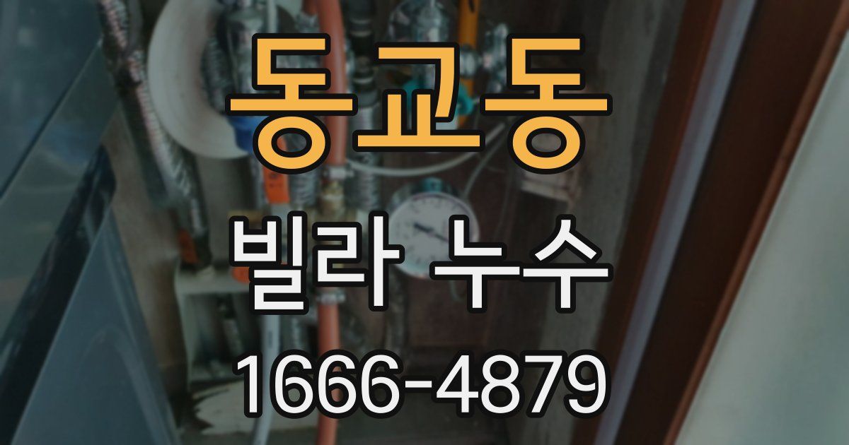 동교동 빌라 누수