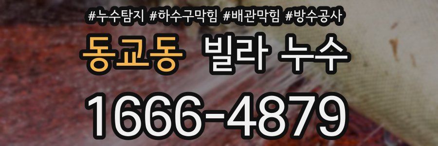 동교동 빌라 누수