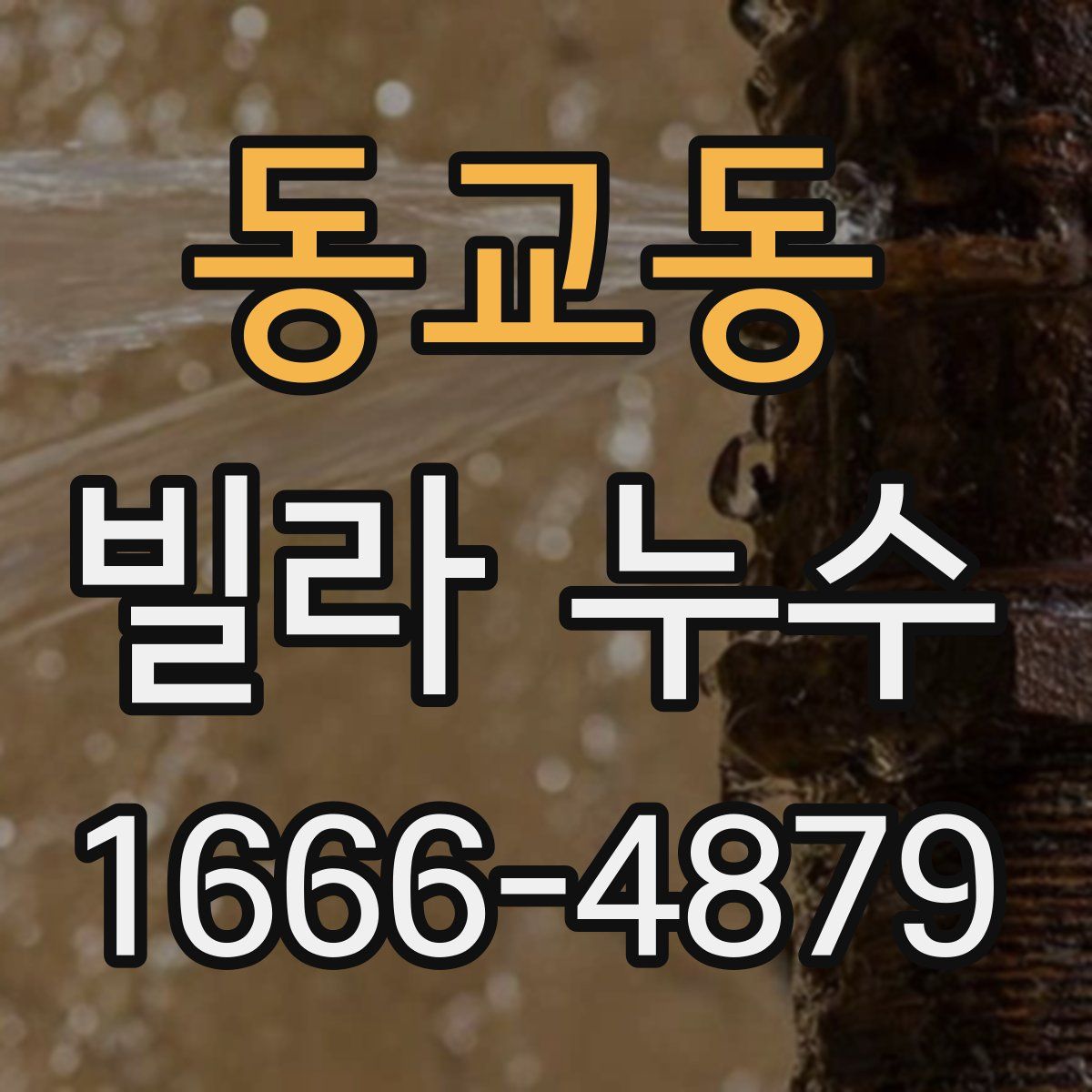 동교동 빌라 누수