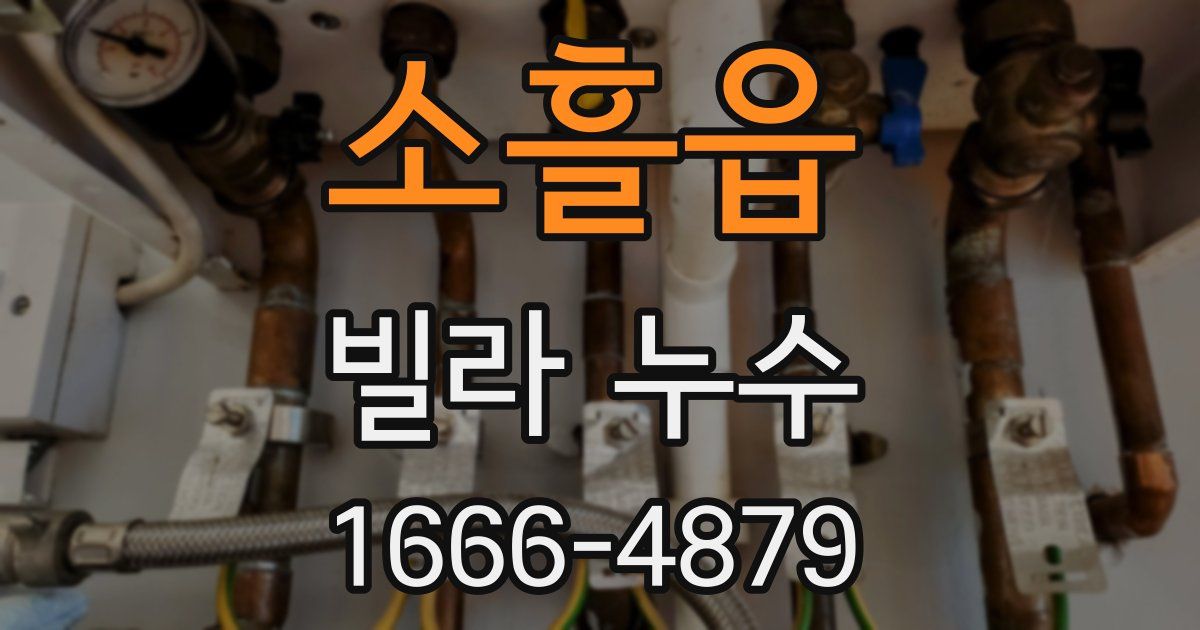 소흘읍 빌라 누수