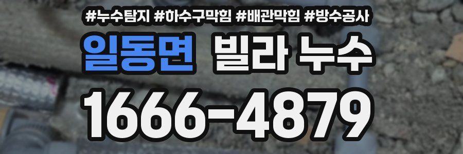 일동면 빌라 누수