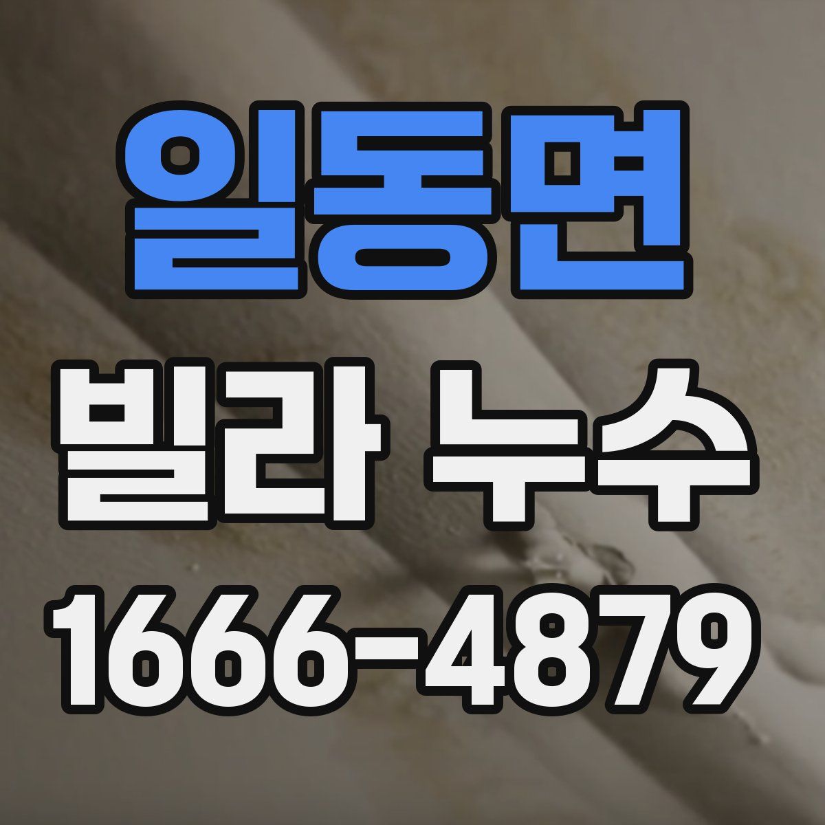 일동면 빌라 누수