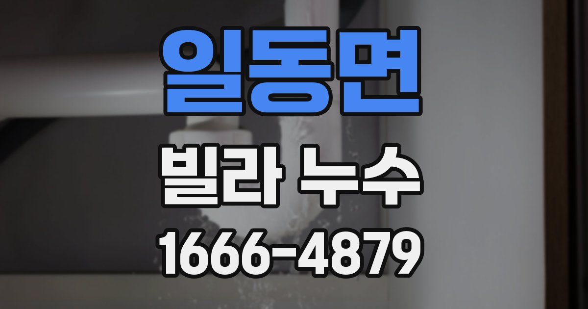 일동면 빌라 누수