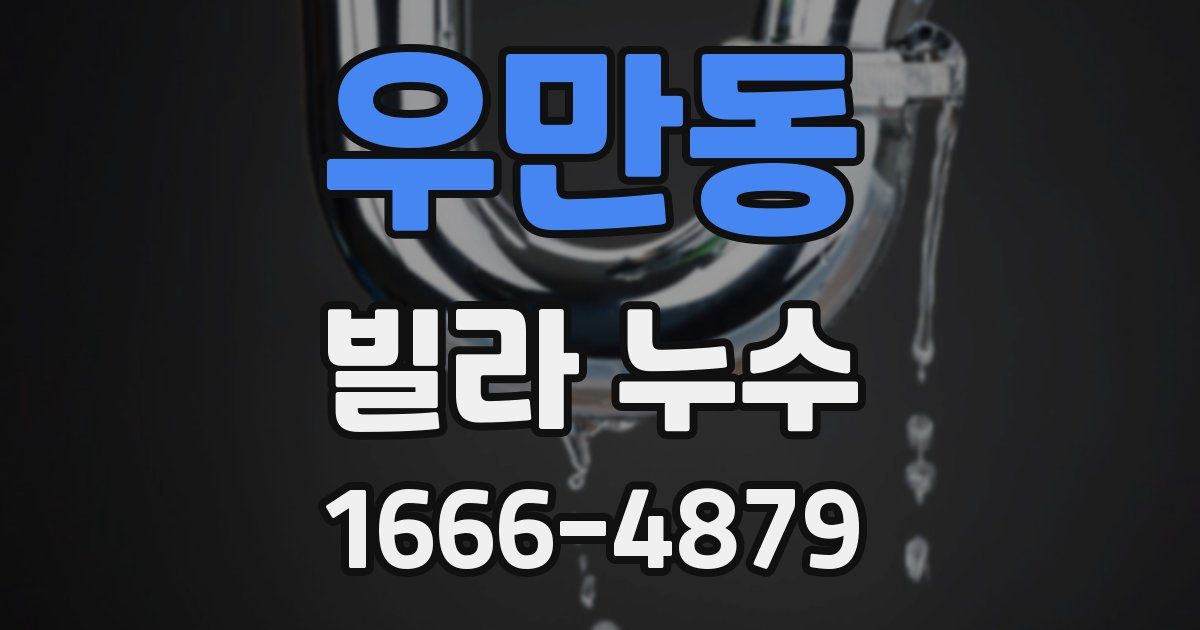 우만동 빌라 누수