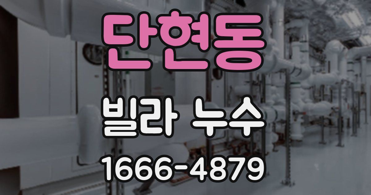 단현동 빌라 누수