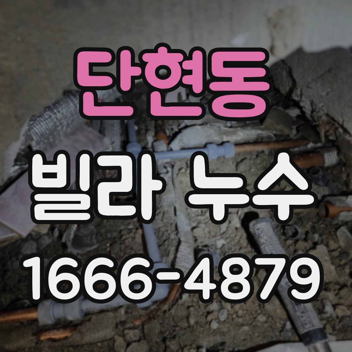단현동 빌라 누수