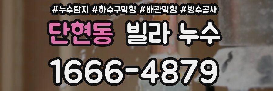 단현동 빌라 누수