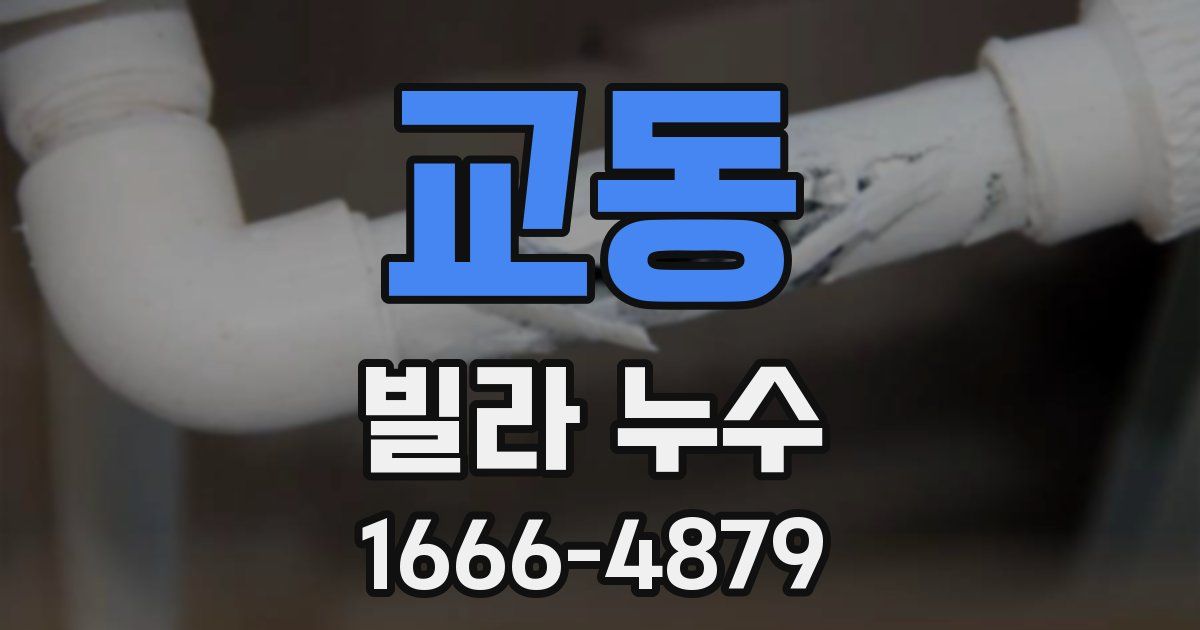 교동 빌라 누수