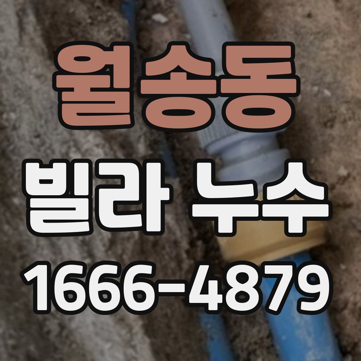 월송동 빌라 누수