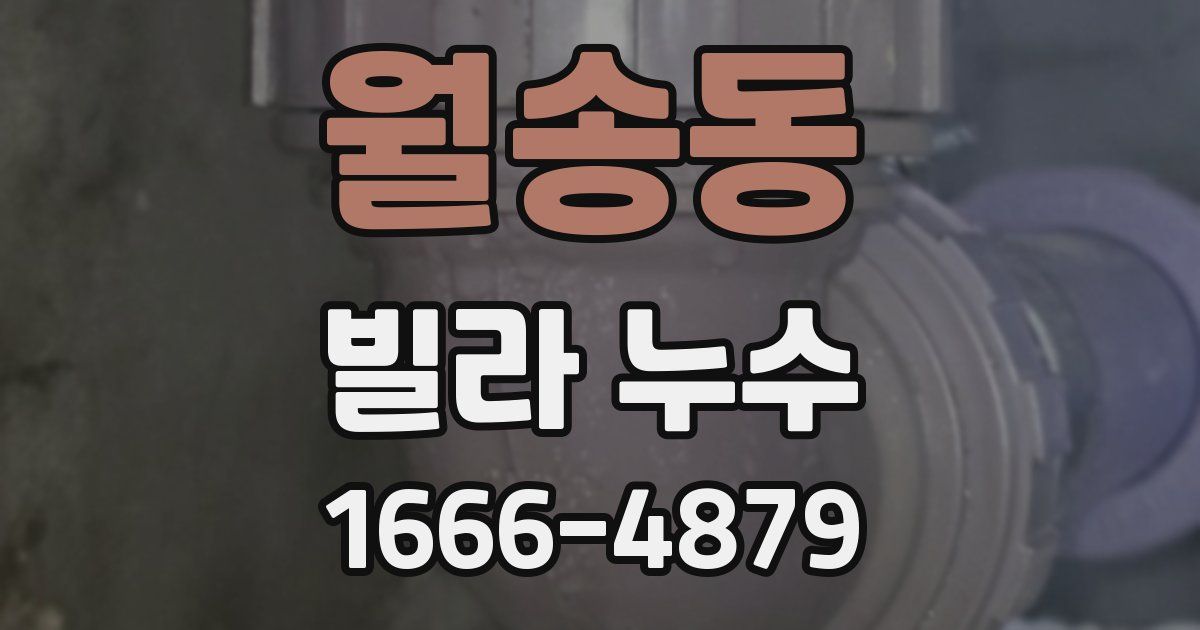 월송동 빌라 누수