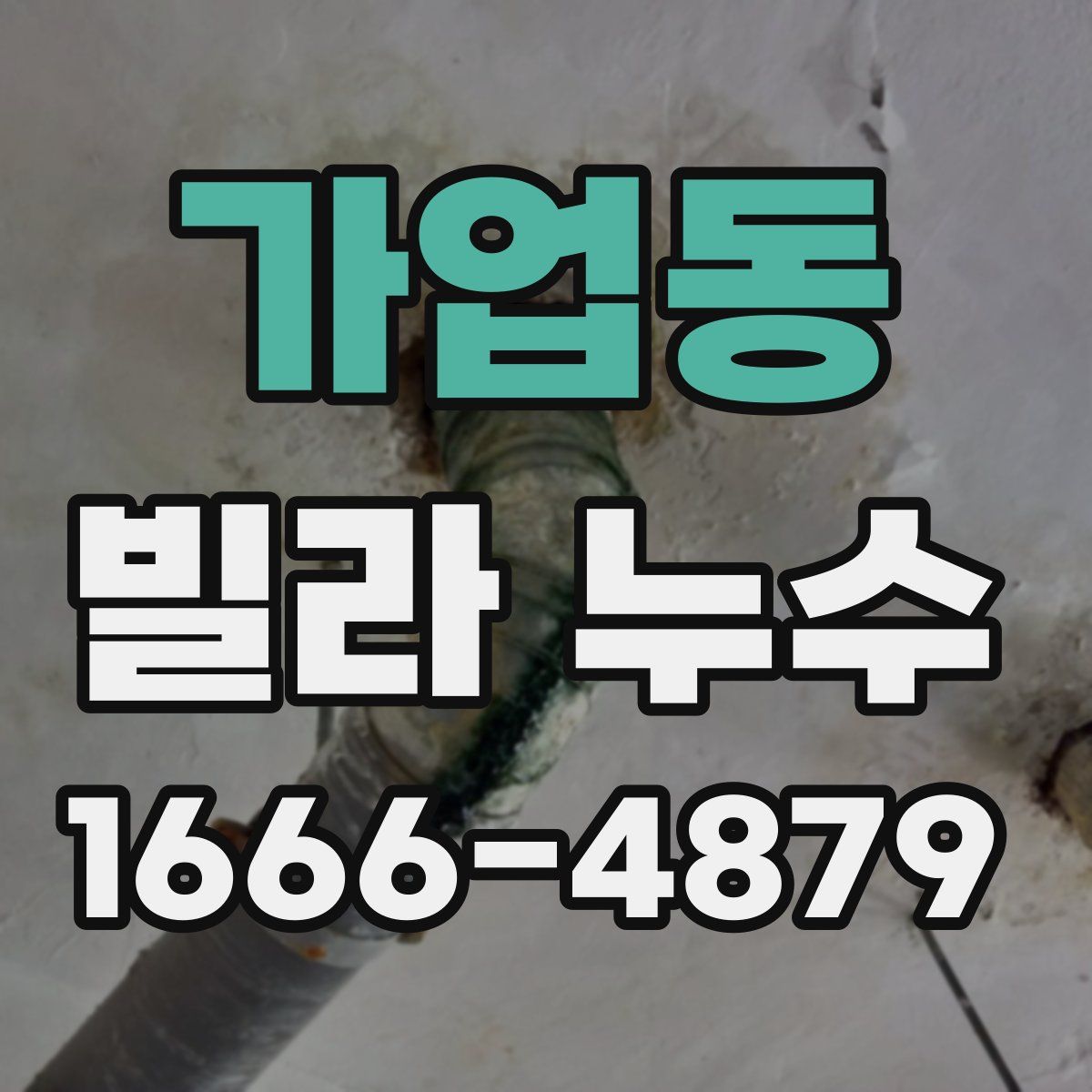 가업동 빌라 누수