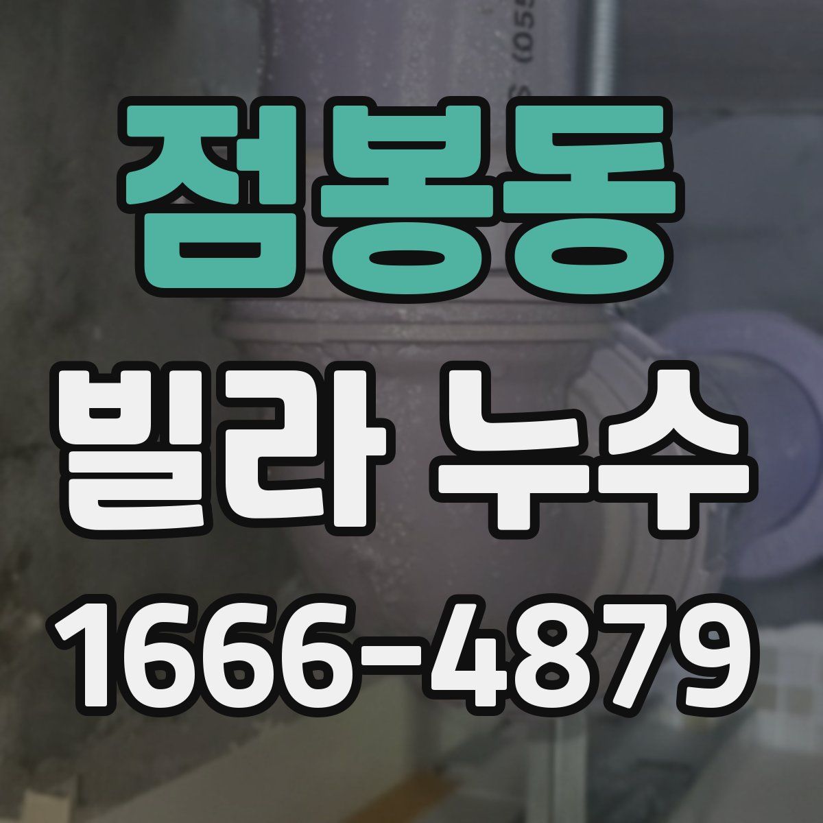 점봉동 빌라 누수