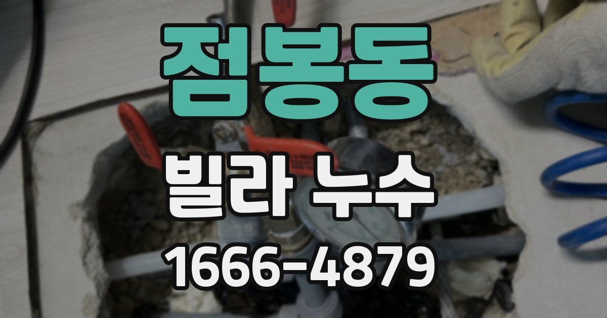 점봉동 빌라 누수