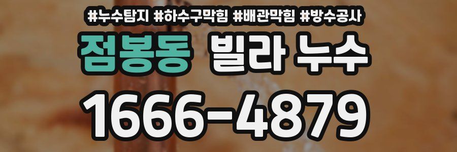 점봉동 빌라 누수