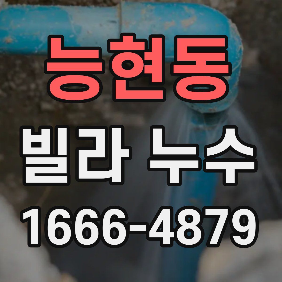 능현동 빌라 누수