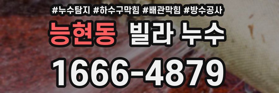 능현동 빌라 누수
