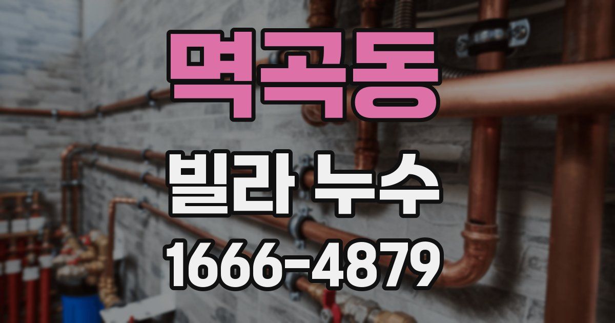 멱곡동 빌라 누수