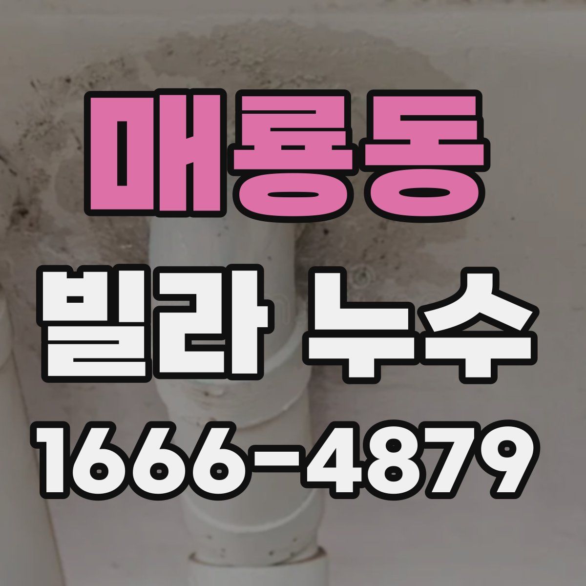 매룡동 빌라 누수