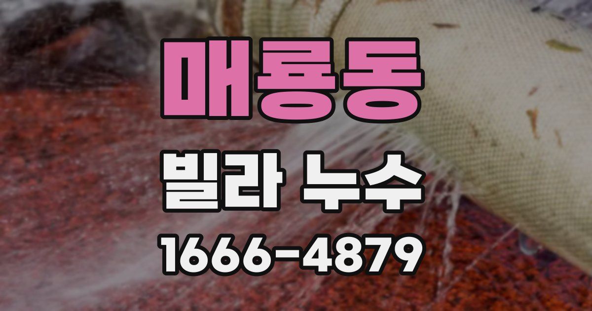 매룡동 빌라 누수