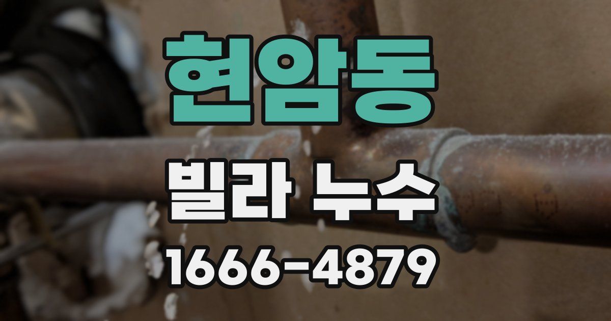 현암동 빌라 누수
