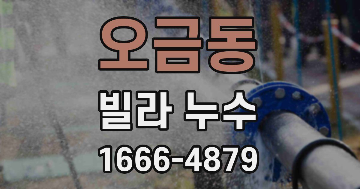 오금동 빌라 누수