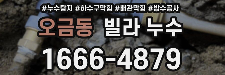 오금동 빌라 누수