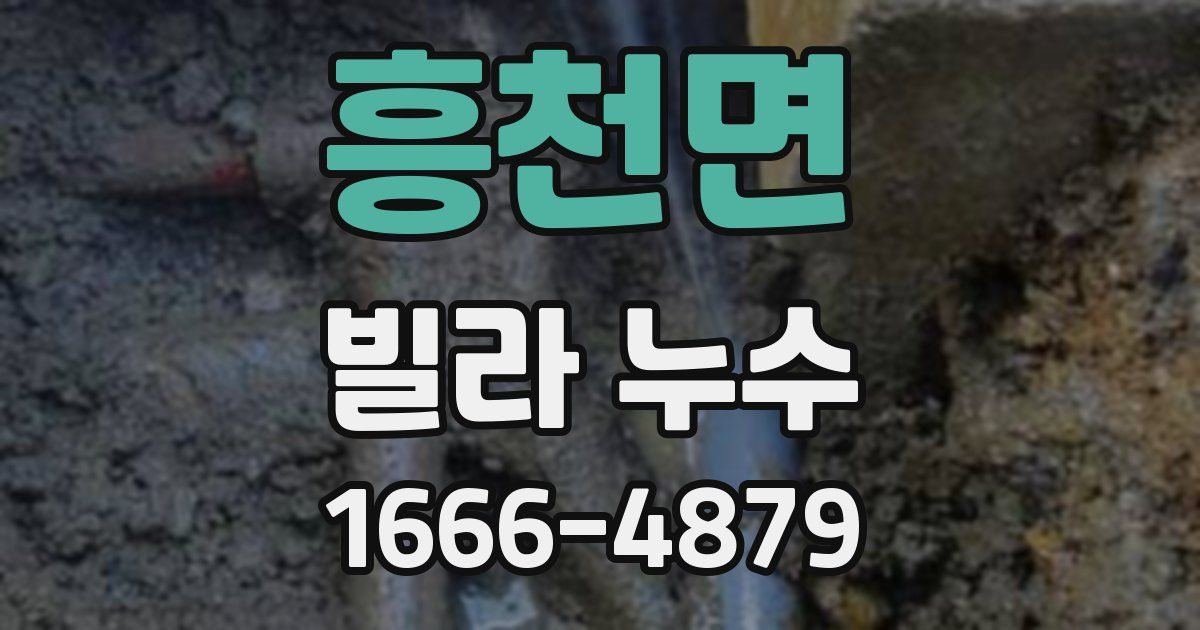 흥천면 빌라 누수