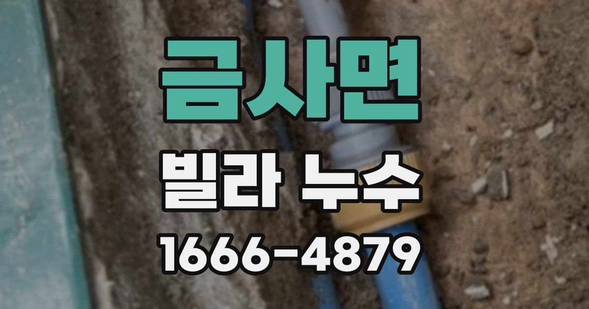 금사면 빌라 누수