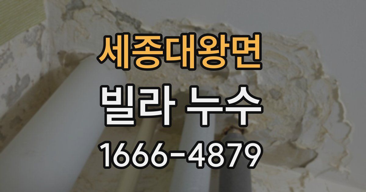 세종대왕면 빌라 누수