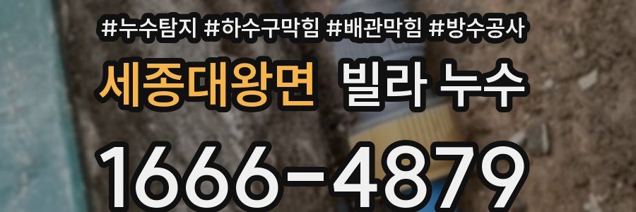 세종대왕면 빌라 누수