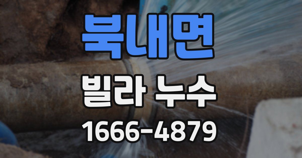북내면 빌라 누수