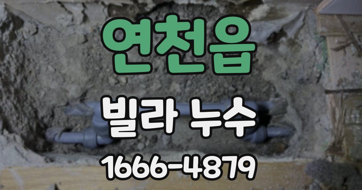 연천읍 빌라 누수