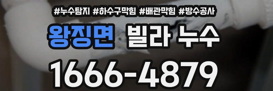 왕징면 빌라 누수