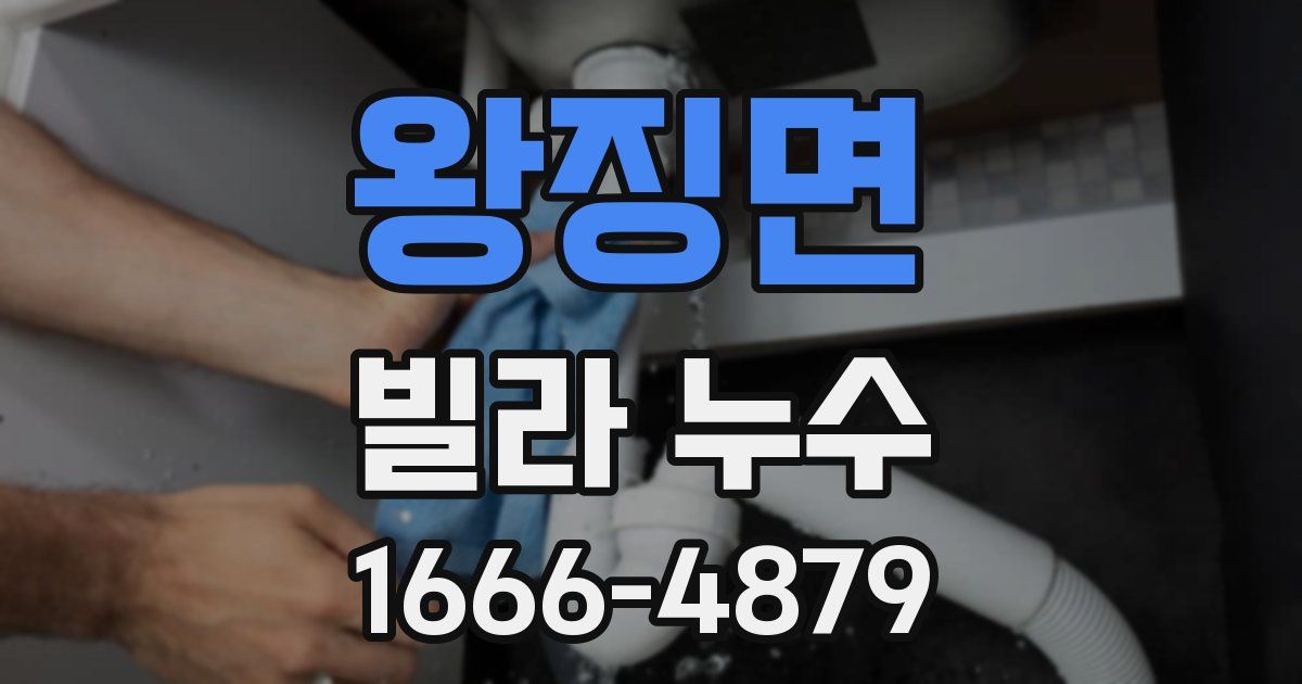 왕징면 빌라 누수