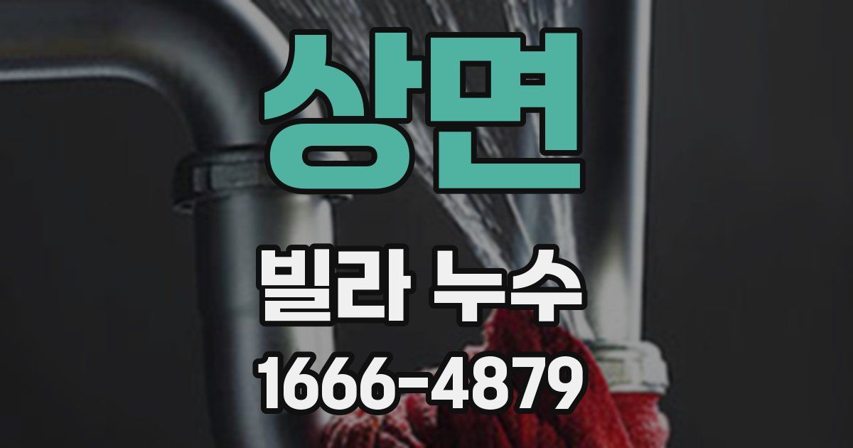 상면 빌라 누수