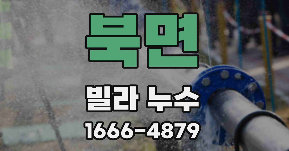 북면 빌라 누수