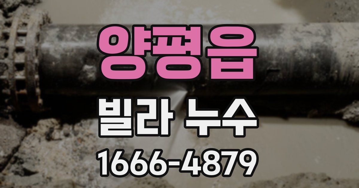 양평읍 빌라 누수