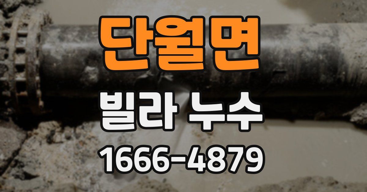 단월면 빌라 누수