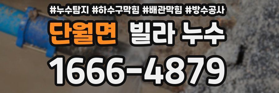 단월면 빌라 누수