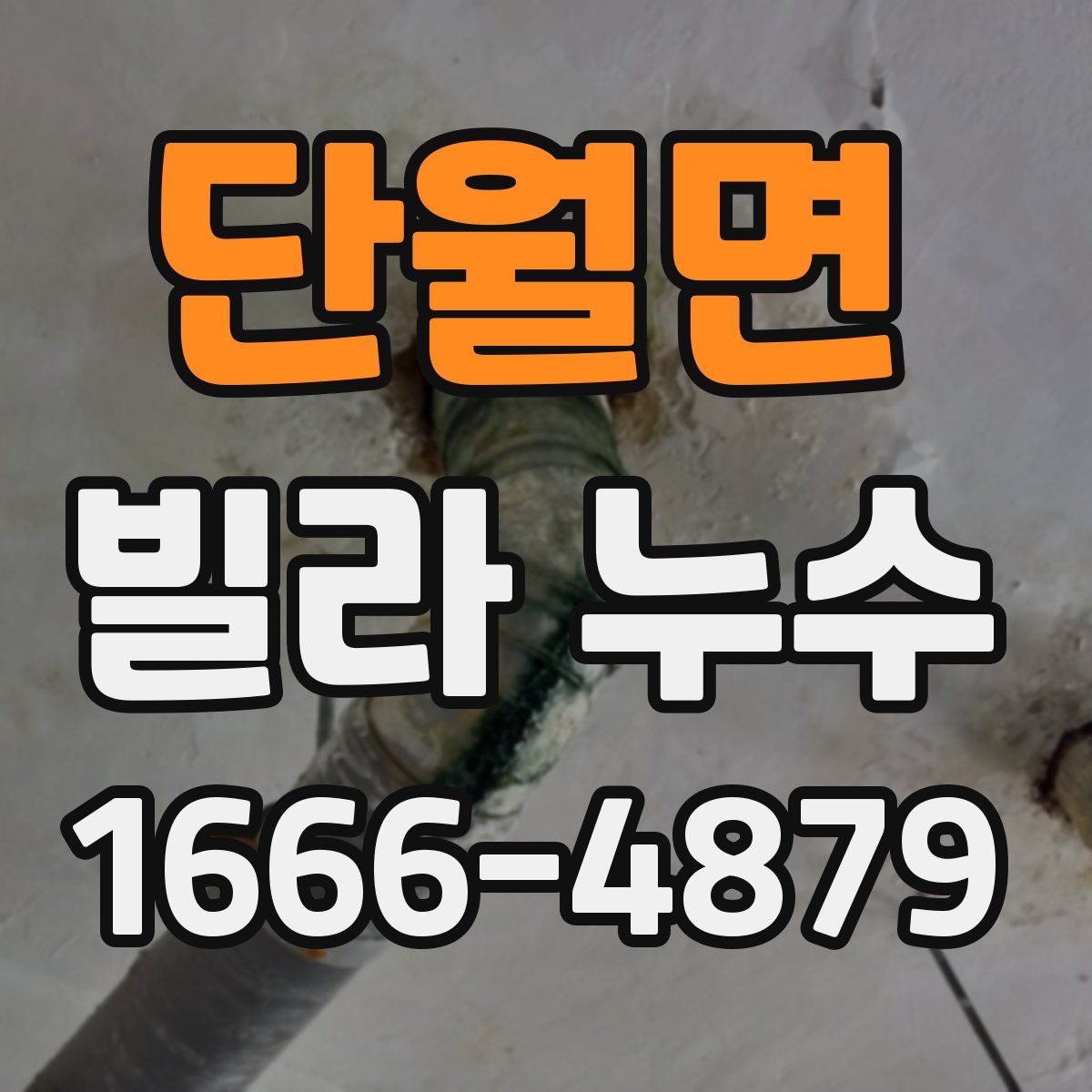 단월면 빌라 누수