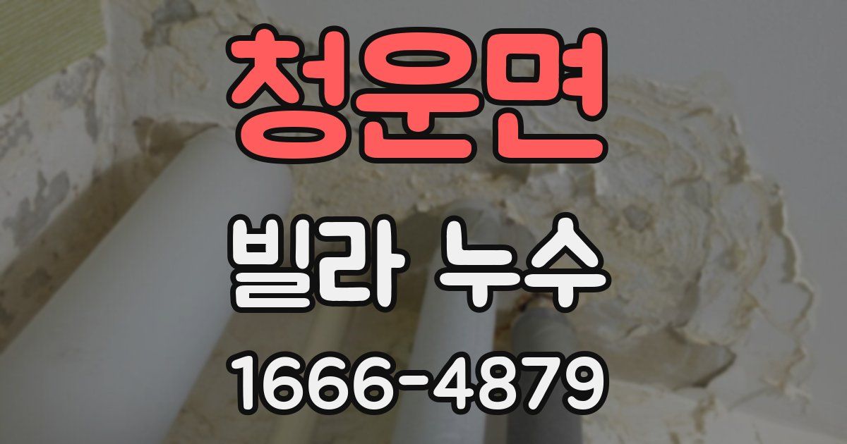 청운면 빌라 누수