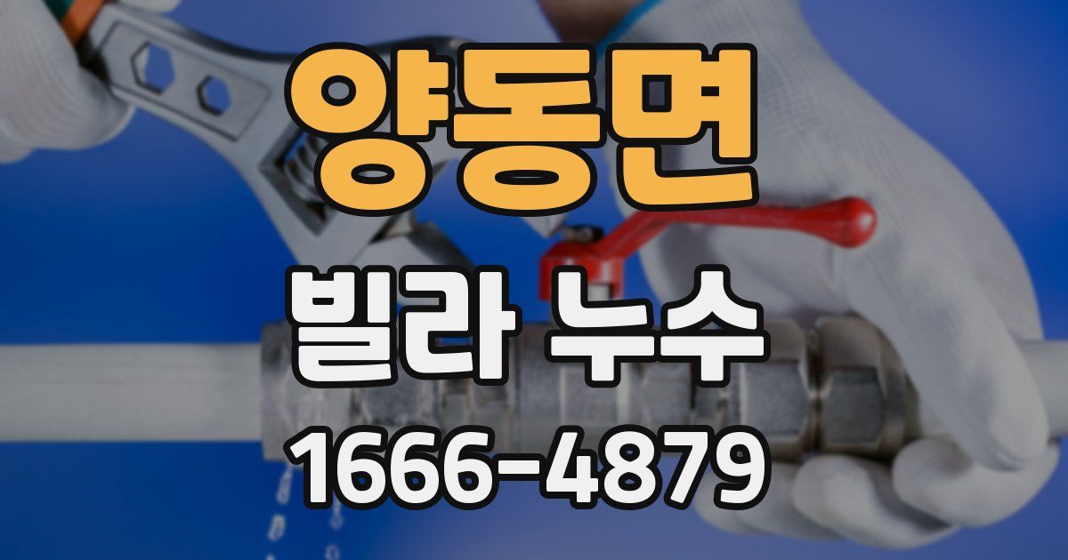 양동면 빌라 누수