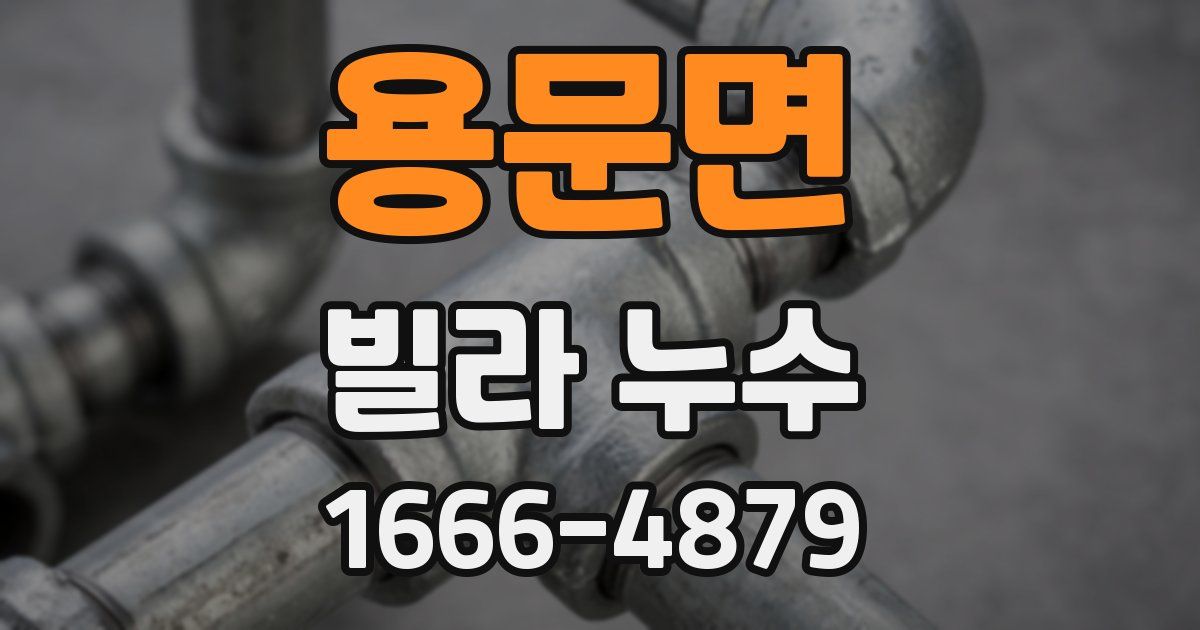 용문면 빌라 누수